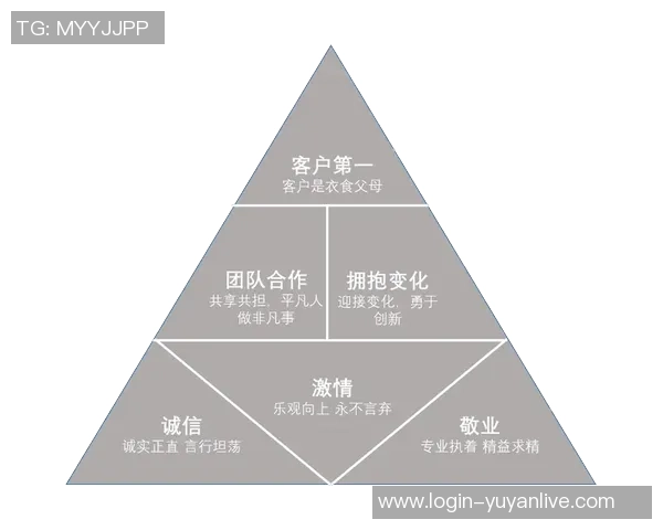 北京羽毛球队在大师赛中的团队协作表现分析与启示 北京羽毛球队在大师赛中的团队协作表现分析与启示