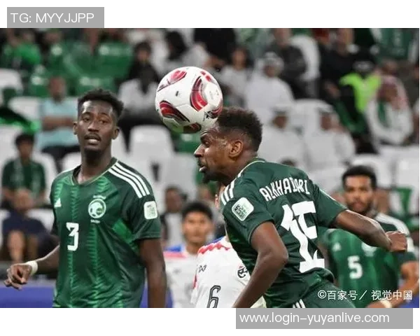 尼日利亚与喀麦隆足球对决全面分析及战术解析